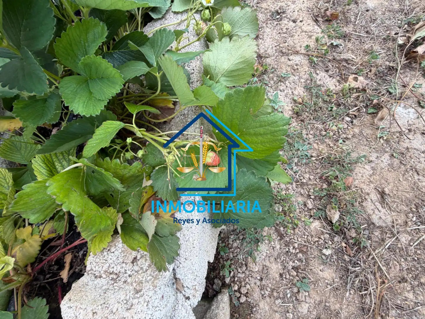 Jardín de Residencial en venta en Córdoba
