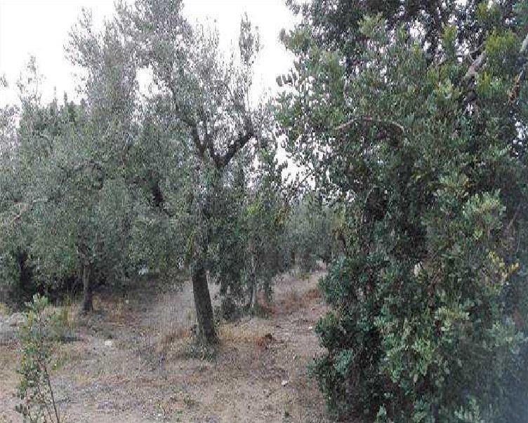 Terreno en venta en Reus
