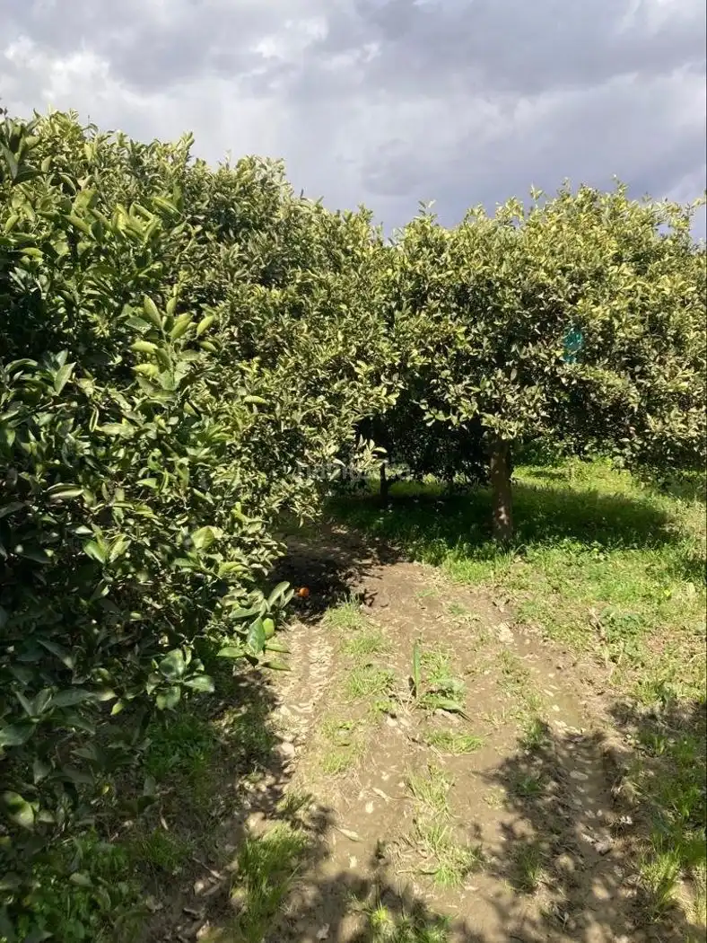 Lands and plots for sale in Calle Ossetia del Norte 1, imagen 3