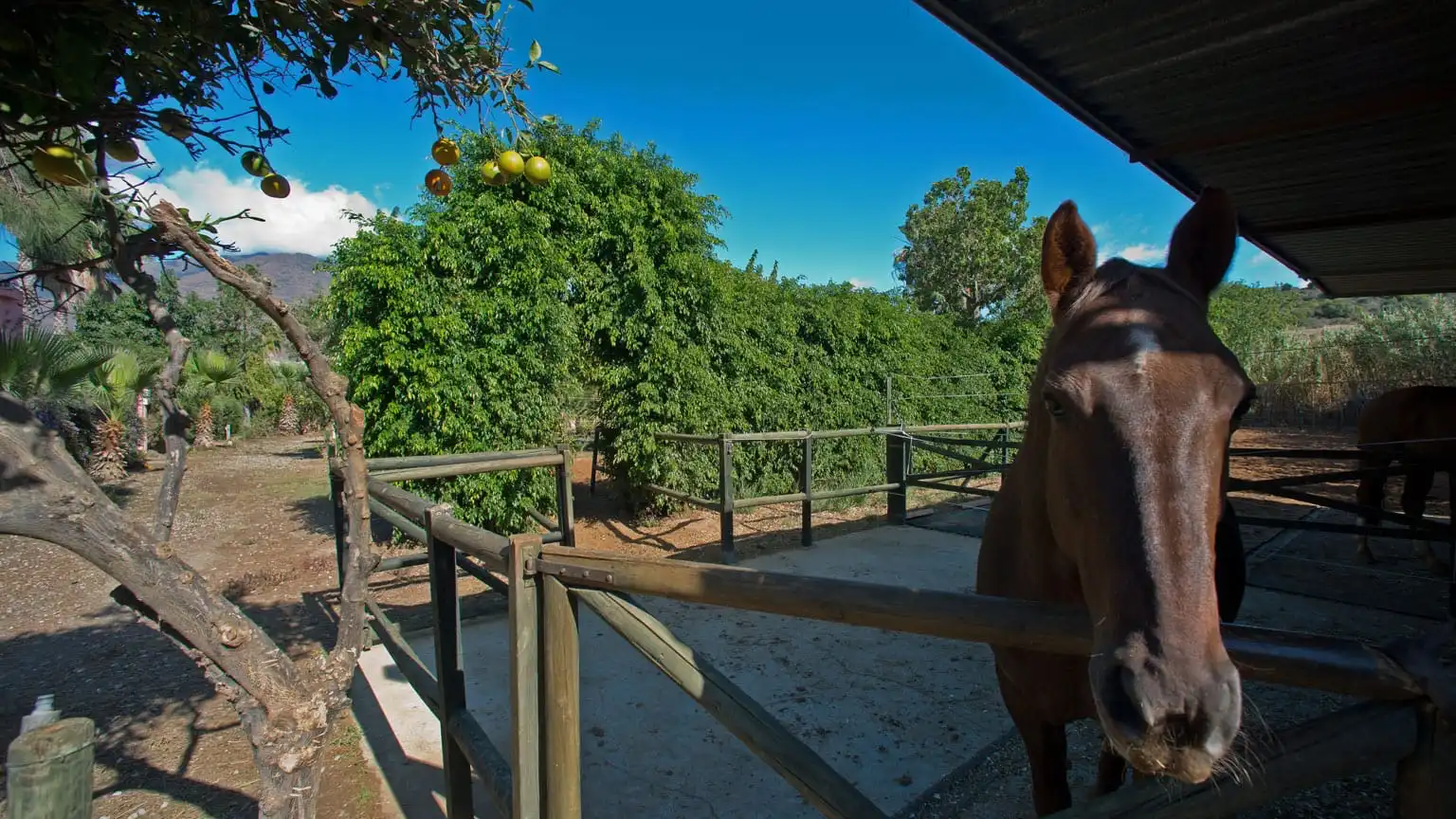 Vista exterior de Terreno en venta en Estepona