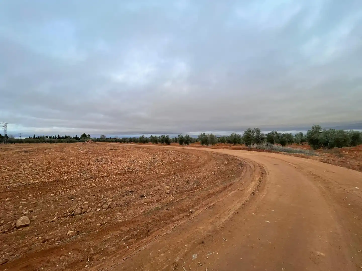 Lands and plots for sale in Valdepeñas, imagen 8