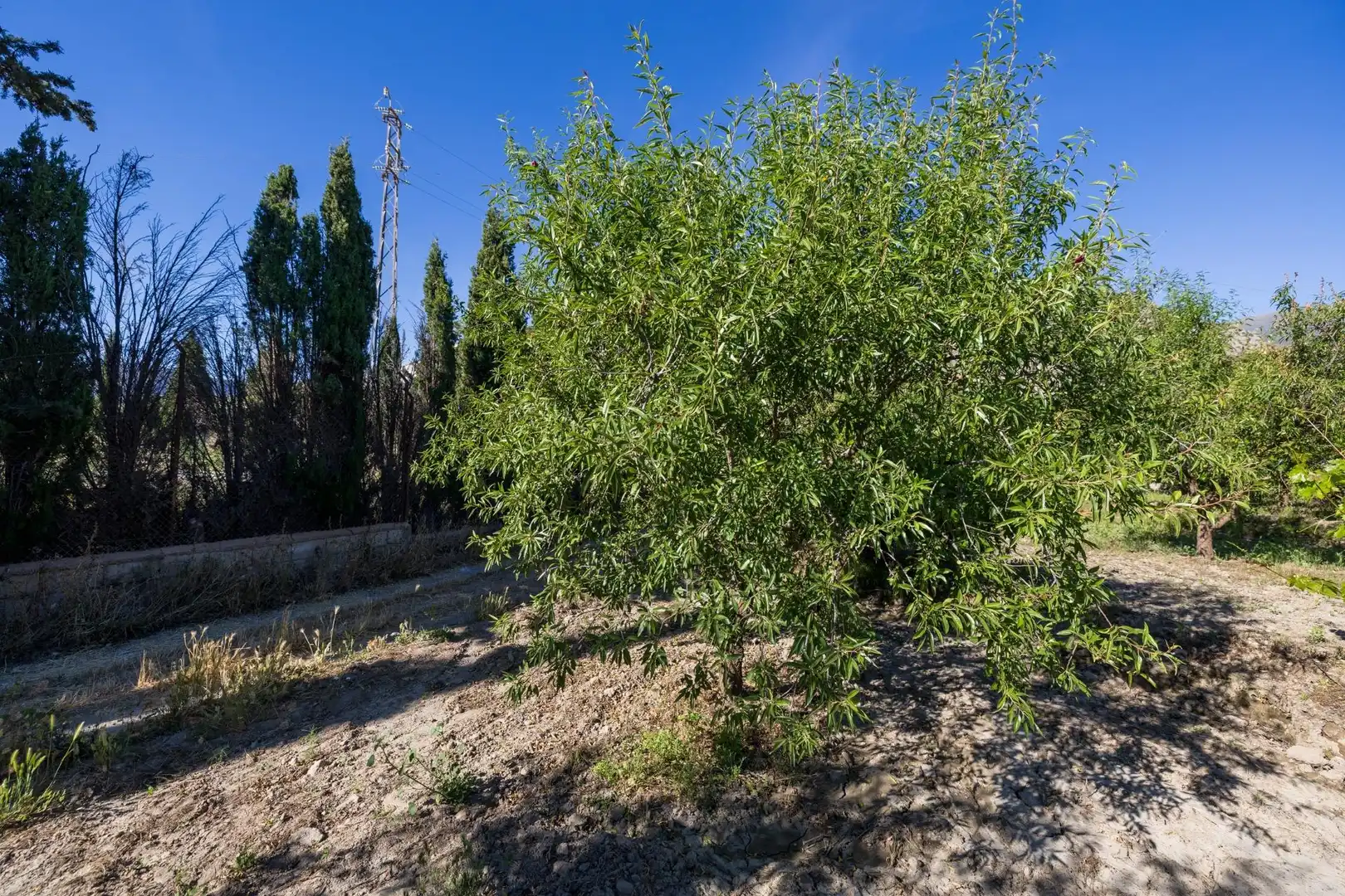 Rural land for sale in Dúrcal, imagen 8