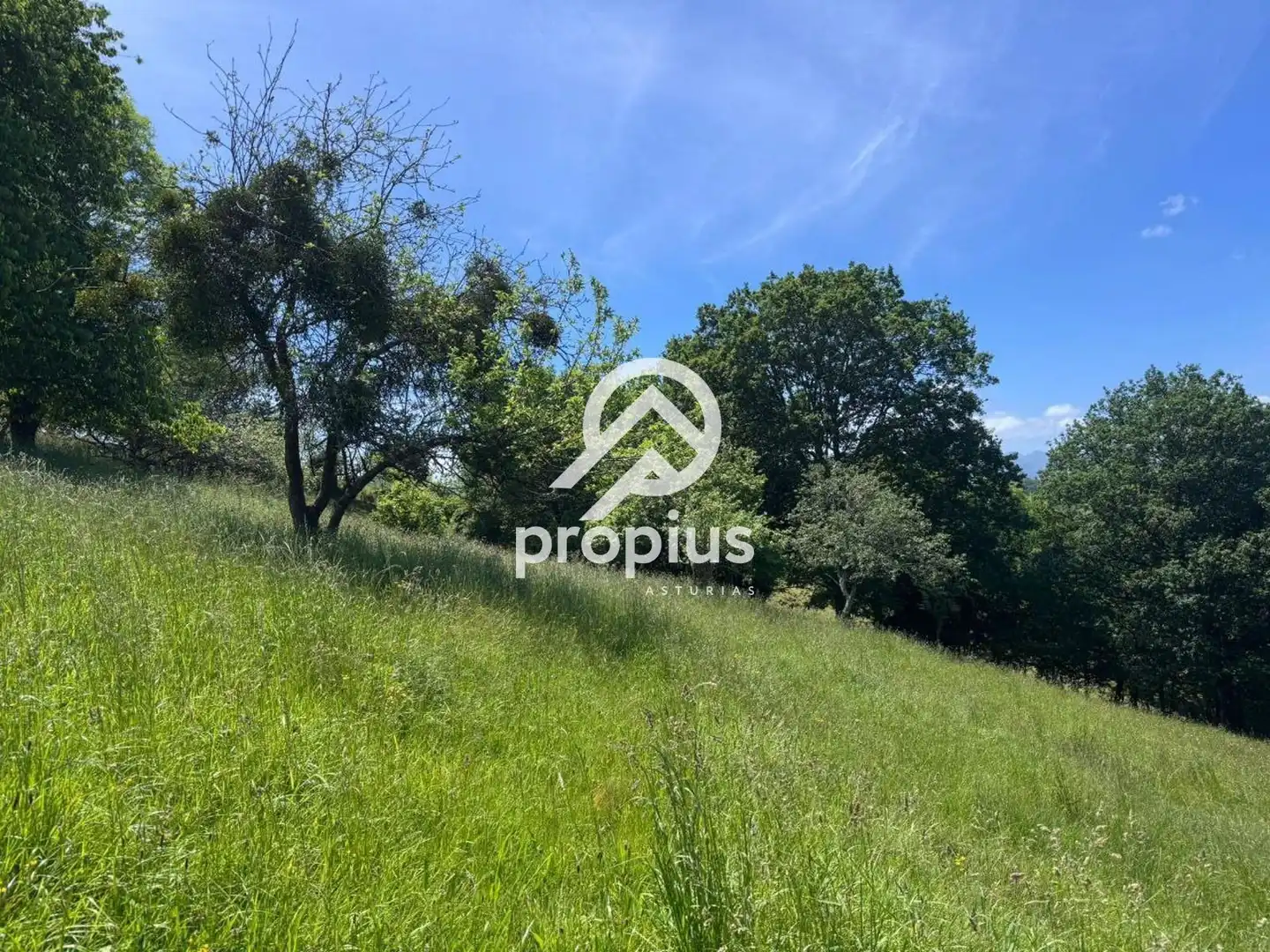 Rural land for sale in ARRIONDAS, imagen 18
