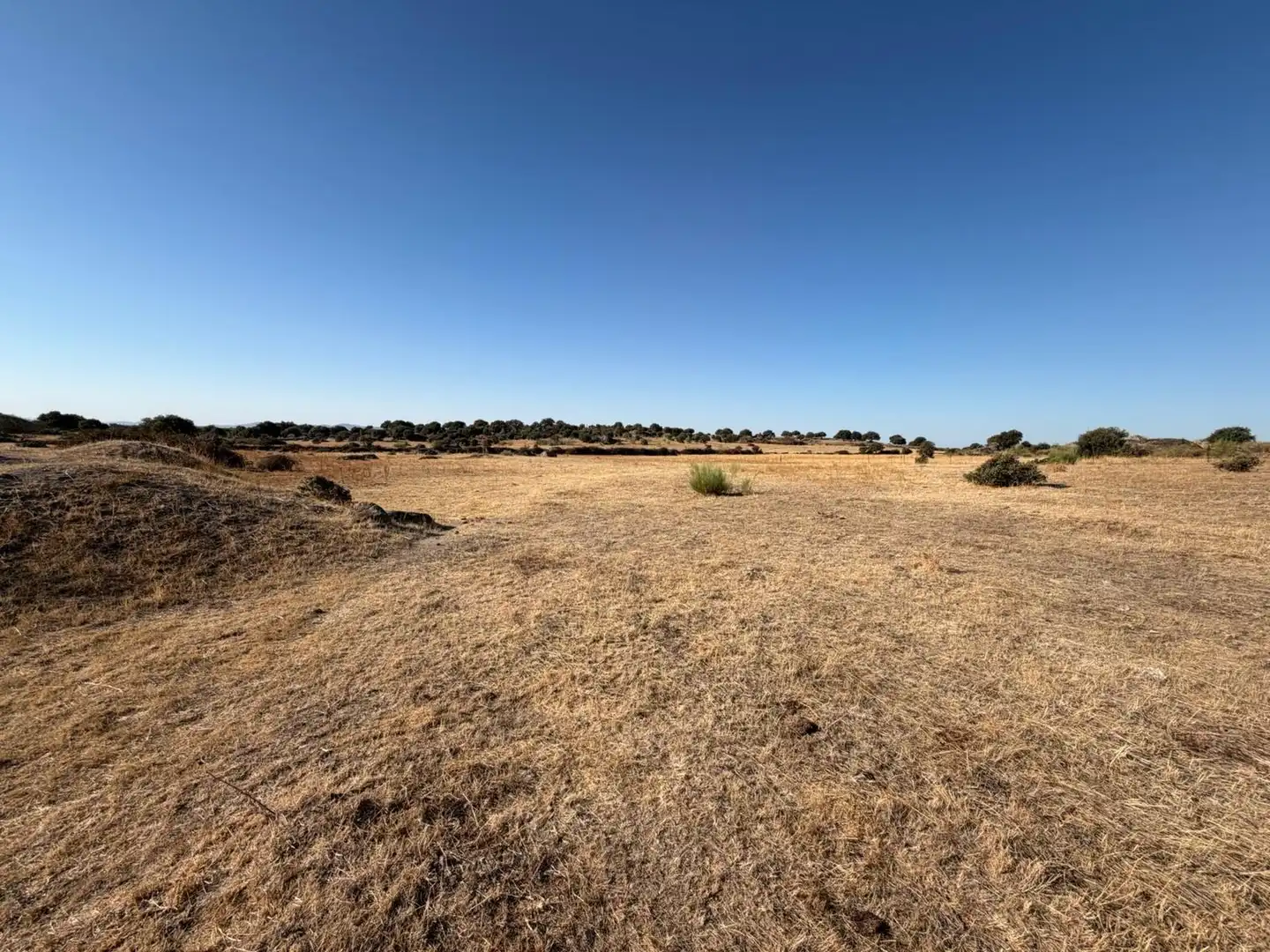 Terreno rustico in vendita a Malpartida de Cáceres, imagen 3