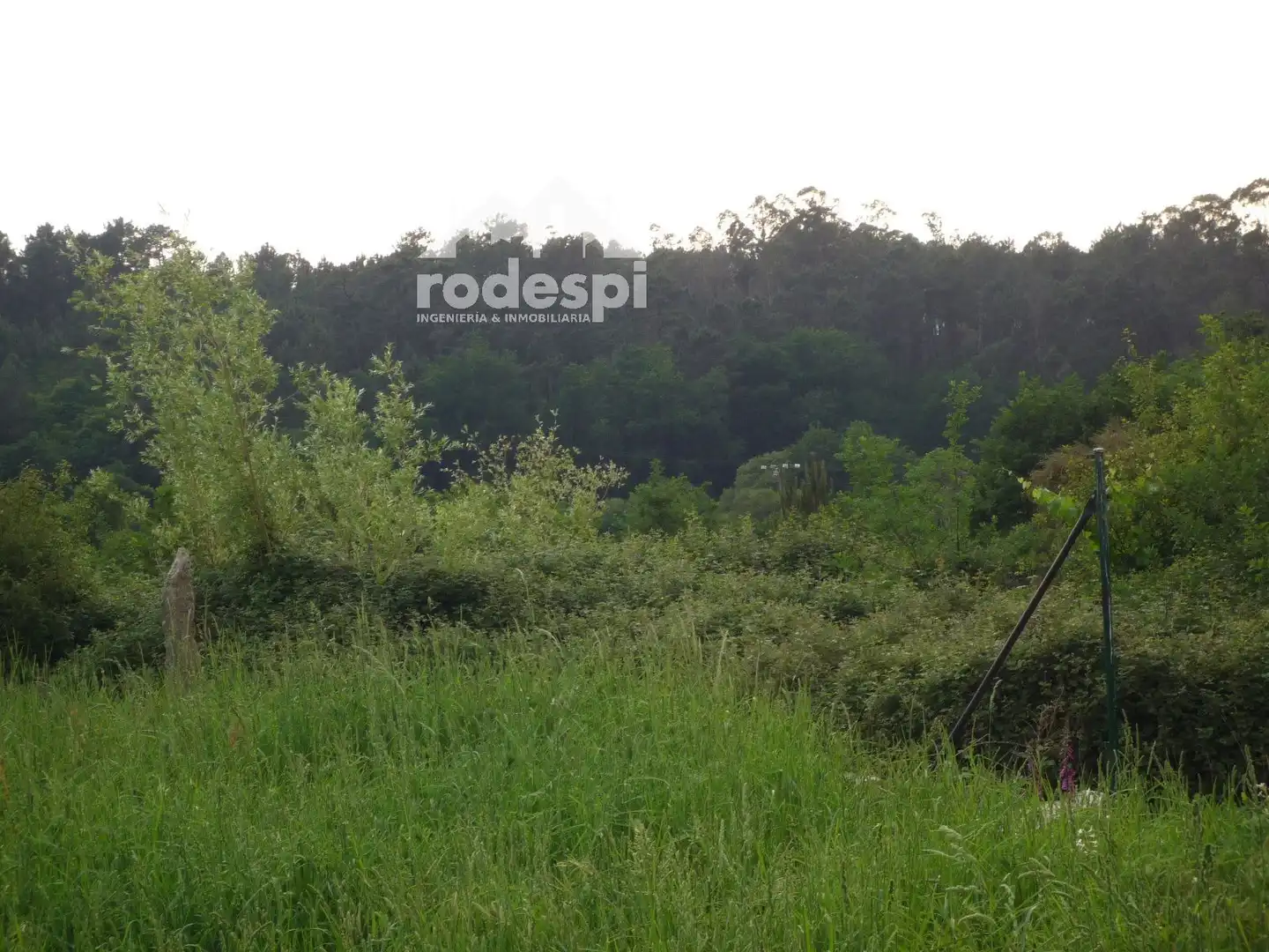 Terrenys i solars en venda a Ponteareas