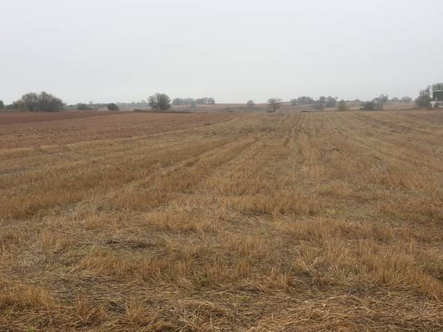Terreno en Alquiler en Calle de Pozo Marcos, 7 en Villarejo de Salvanés
