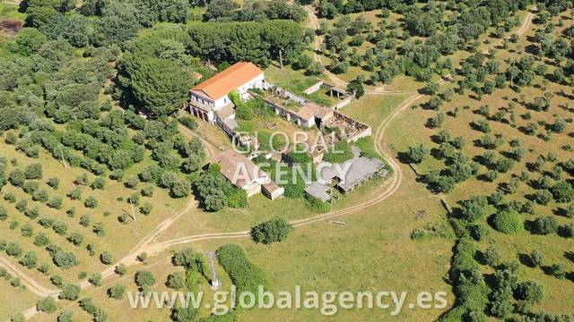 Finca rústica en Venta en Tejeda de Tiétar