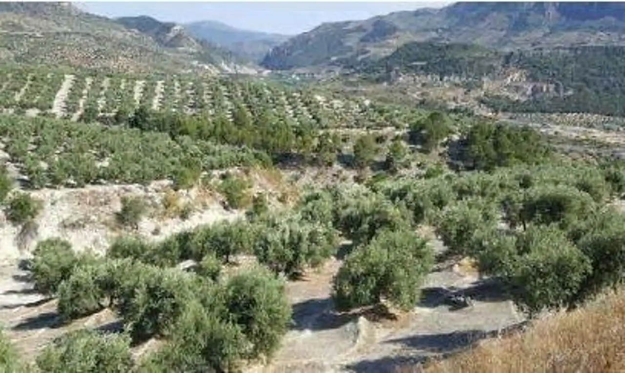 Lands and plots for sale in N/A, imagen 2
