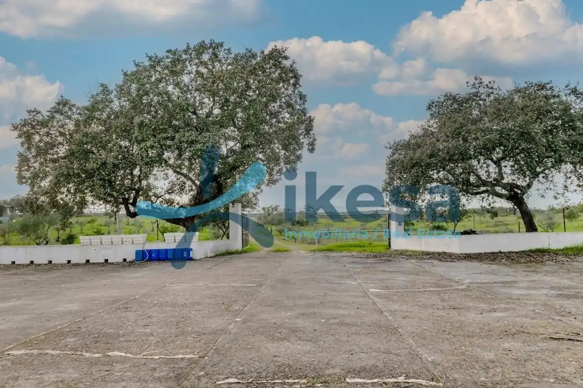 Land for sale in Puebla de Guzmán