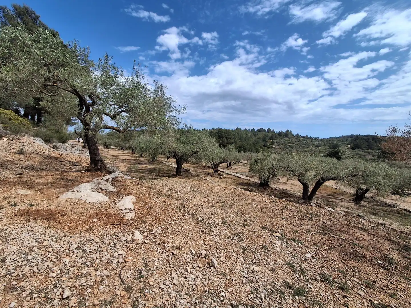 Terreno rustico in vendita a El Perelló, imagen 68