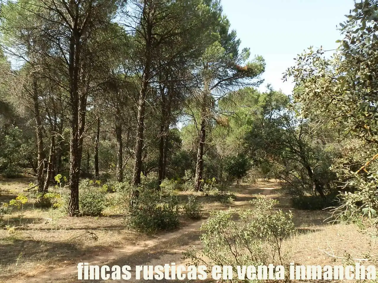 Terreni e lotti in vendita a Pozoamargo, imagen 16