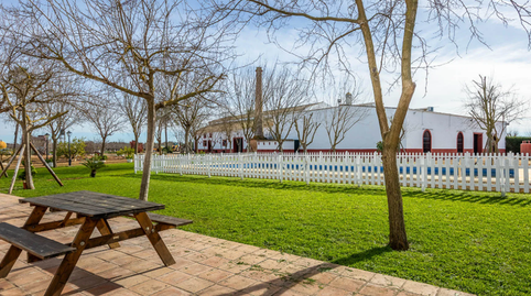 Foto 5 de Finca rústica en venta en Carretera Guadajoz , Carmona, Sevilla