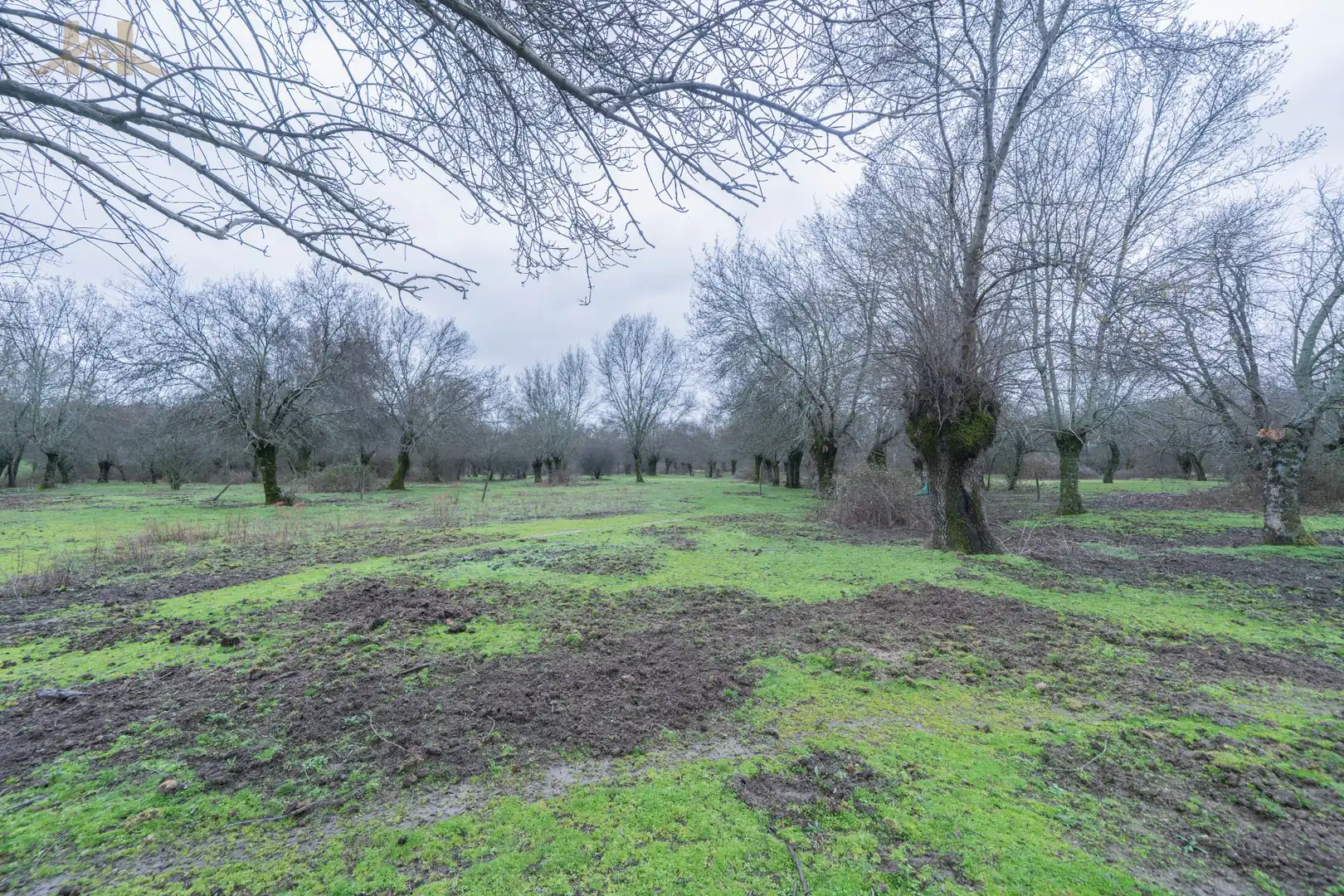 Terreno en venta en San Lorenzo de El Escorial