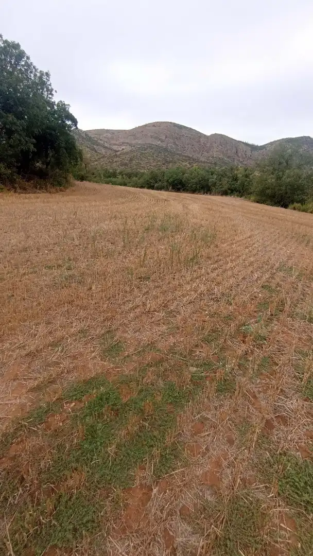 Terreno en venta en Artesa de Segre