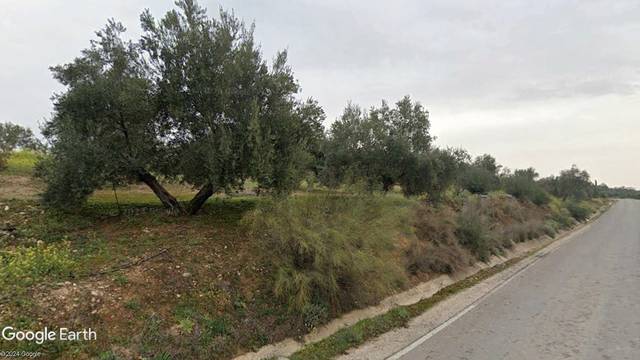 Terreno en Venta en Lupión