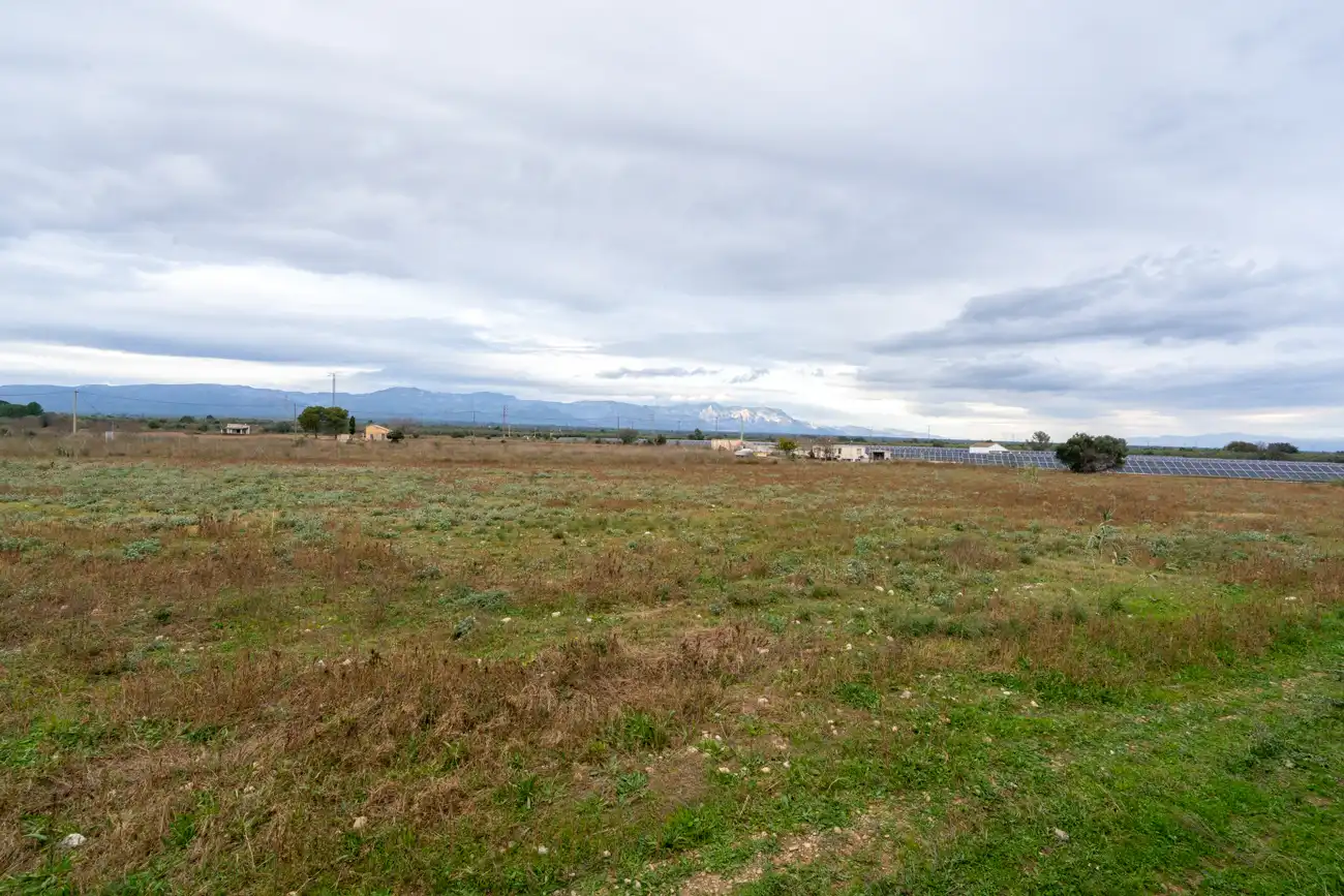 Rural land for sale in Ulldecona, imagen 19