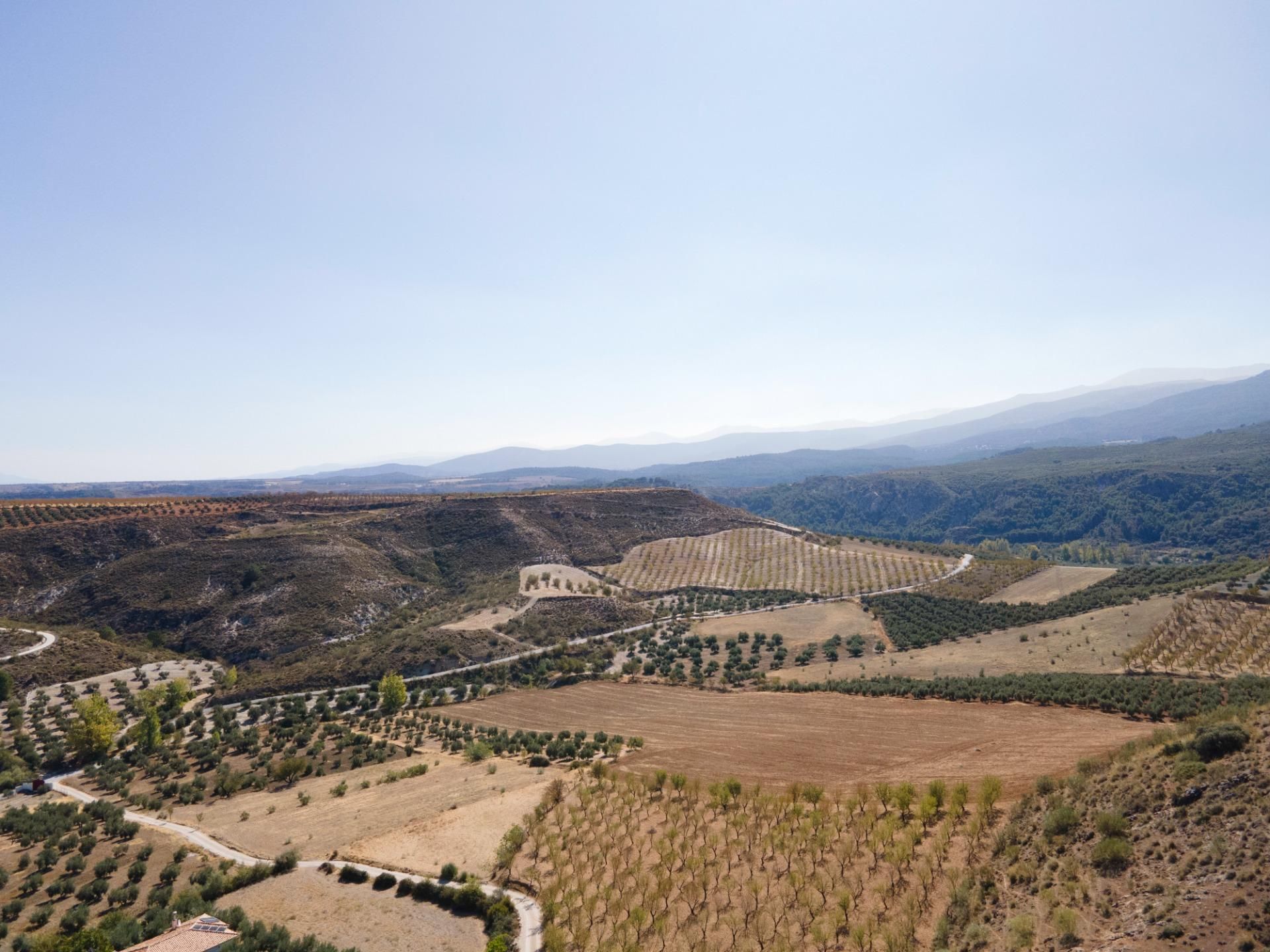 Vista exterior de Finca rústica en venda en La Peza amb Jardí privat, Terrassa i Traster