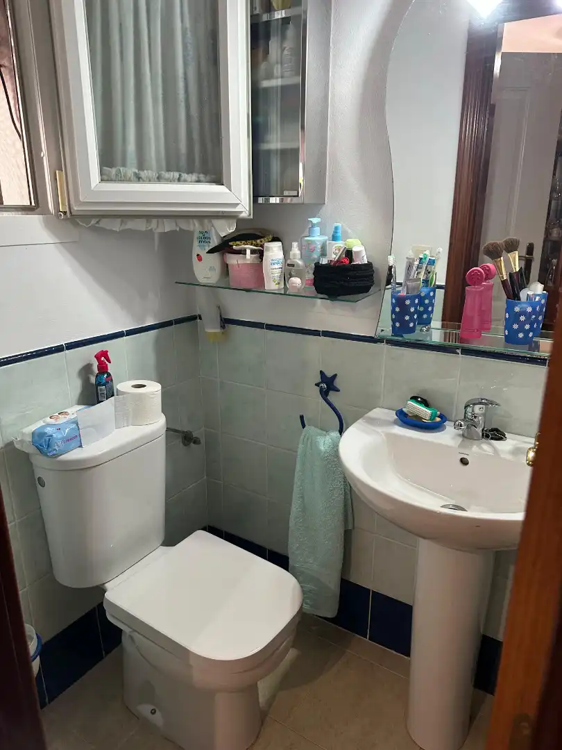 Baño de Casa o chalet en venta en Alcalá del Río con Aire acondicionado, Jardín privado y Amueblado