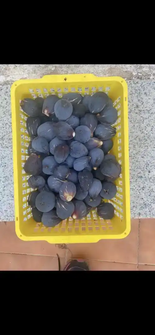 Jardí de Finca rústica en venda en Navahermosa amb Moblat