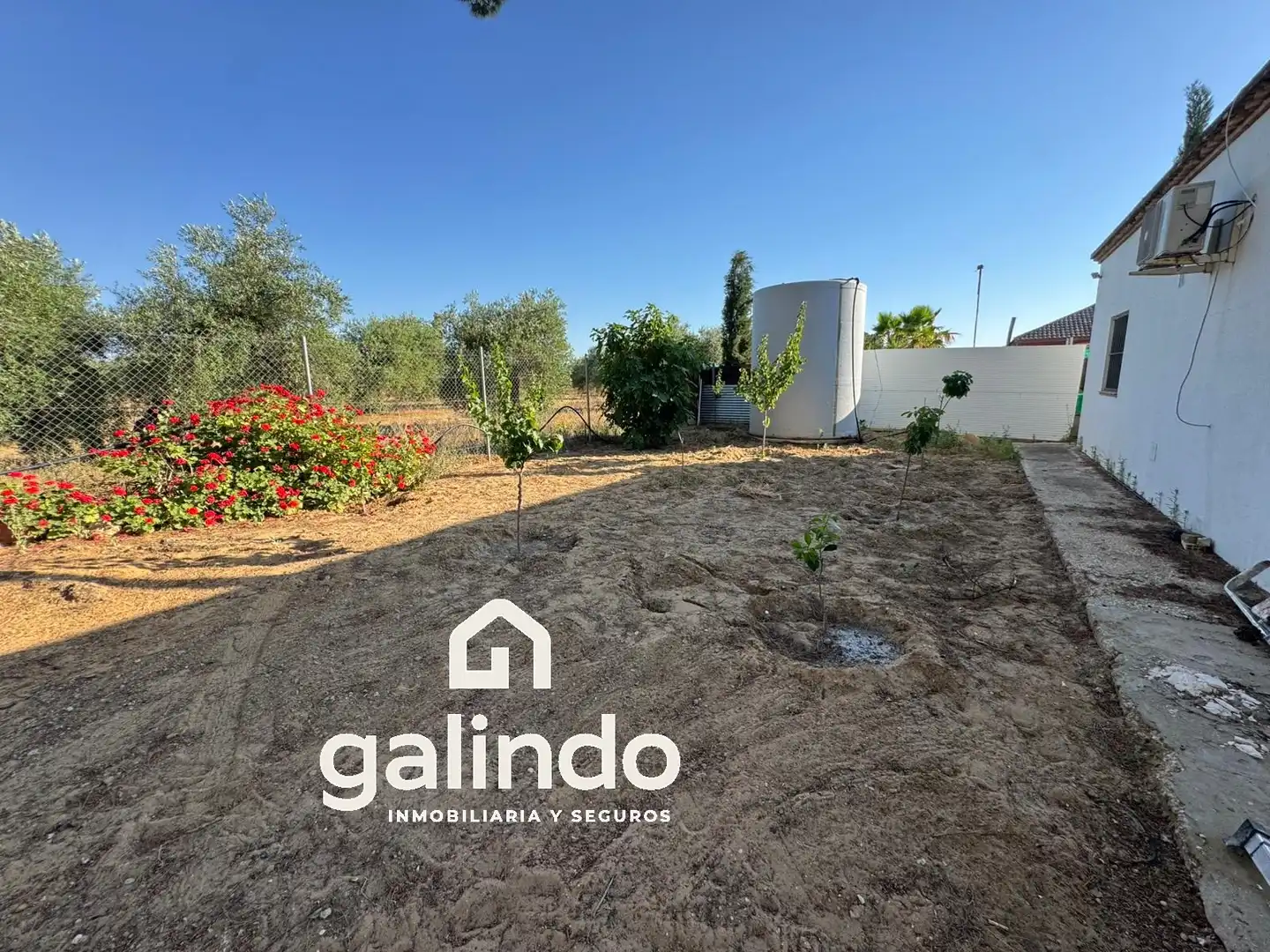 Chalet con piscina en venta en Marchena, imagen 5