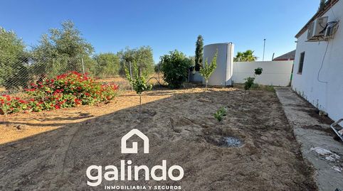 Foto 5 de Casa o chalet en venta en Marchena, Sevilla