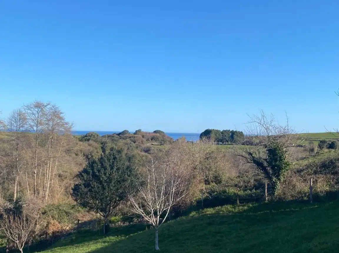 Residencial en venda en Val de San Vicente 