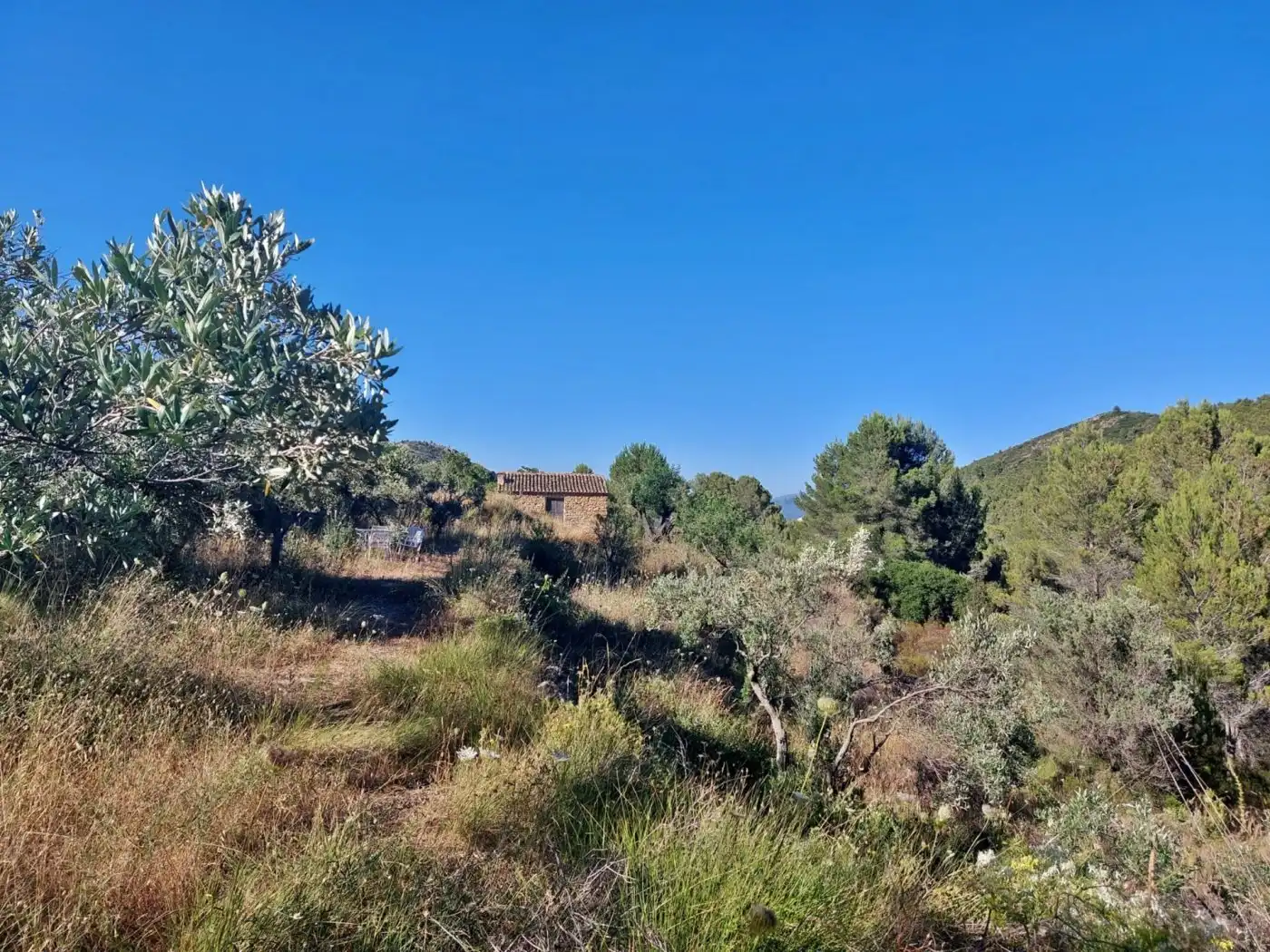 Maison à vendre à Xaló, imagen 5