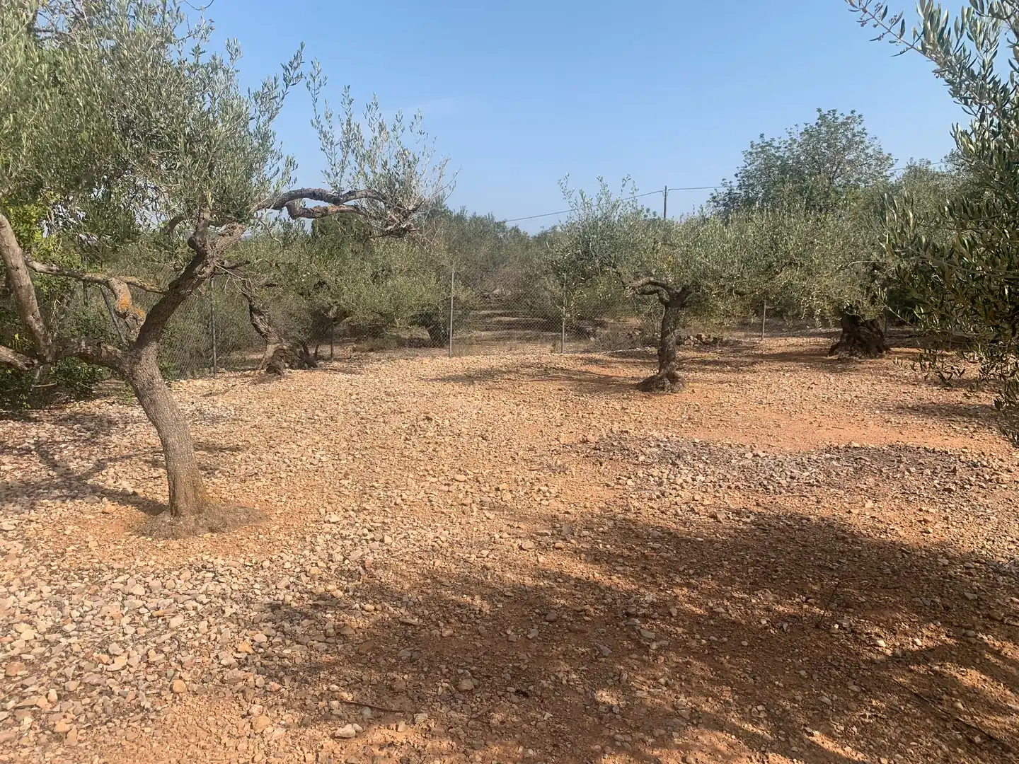 Country homes for sale in L'Ampolla  with Swimming Pool and Furnished