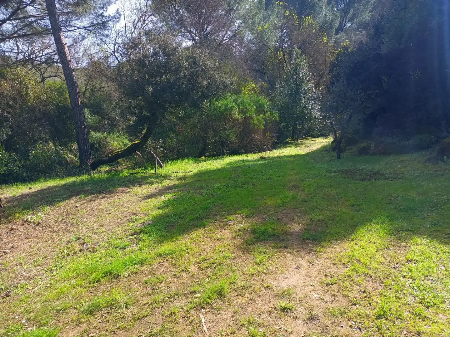 Casa rustica in vendita a Periurbano Oeste - Sierra, imagen 30