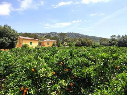 Country house zum verkauf in Sa Pobla mit Abstellraum und Schwimmbad