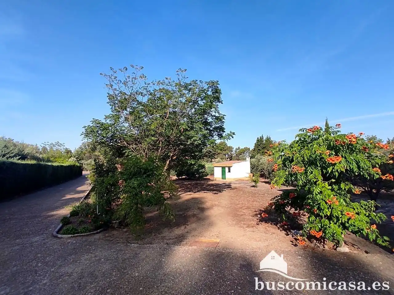 Casa rústica amb piscina en venda a Principal, imagen 2