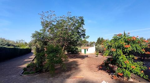 Foto 2 de Finca rústica en venta en Principal, San Roque - La Cruz - La Rozuela, Linares
