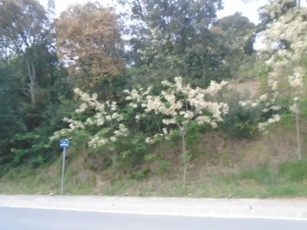 Terreni e lotti in vendita a Gualba, imagen 3