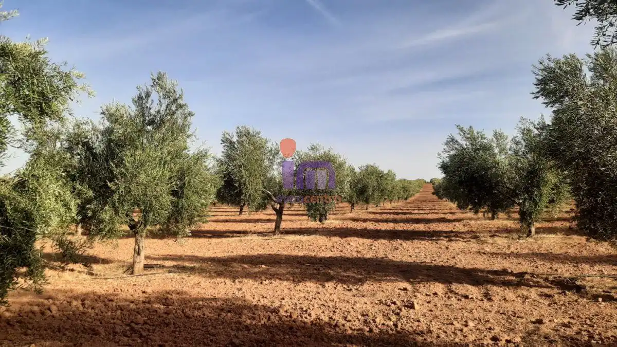 Casa rústica en venda a Valdepeñas, imagen 45