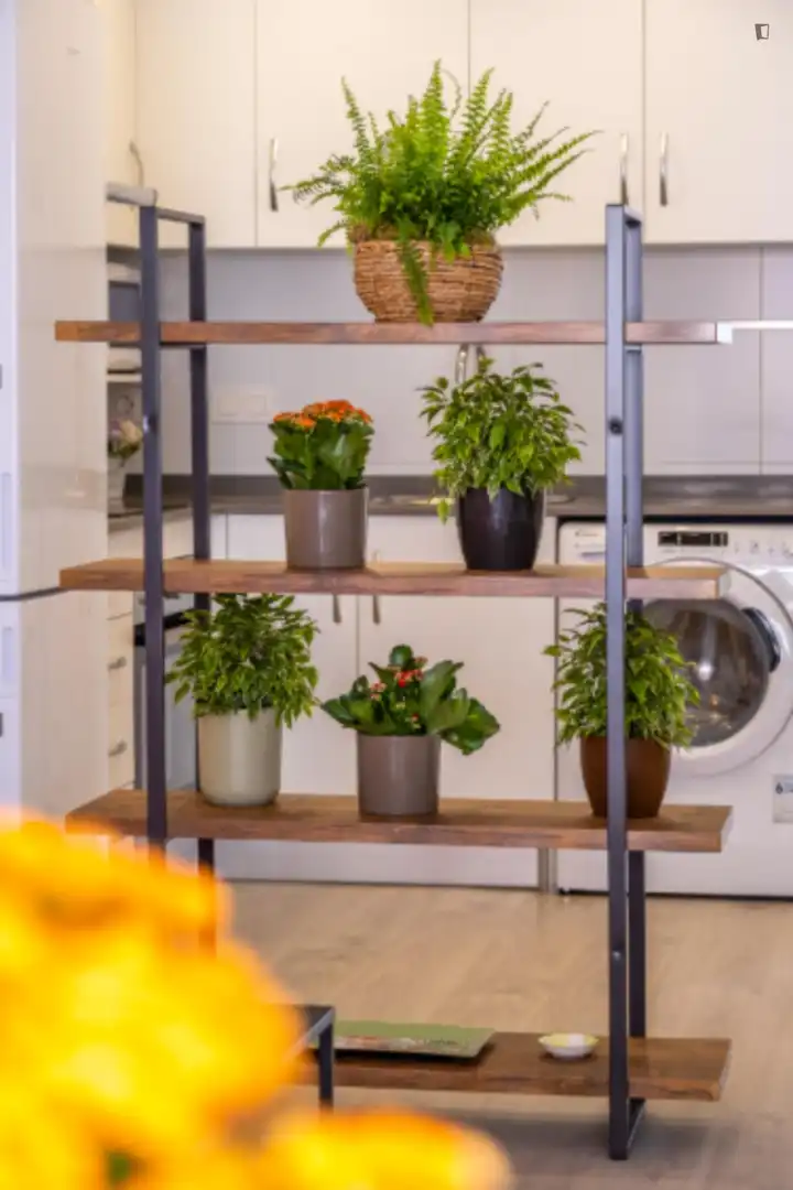 Apartament de lloguer en Málaga amb Aire condicionat, Moblat i Forn