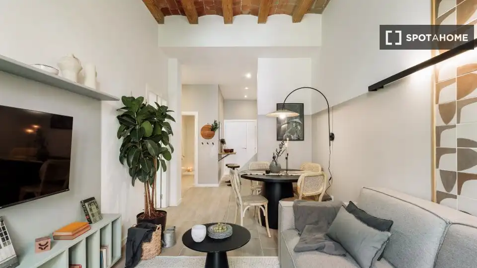 Sala de estar de Piso de alquiler en Barcelona con Aire acondicionado, Calefacción y Amueblado
