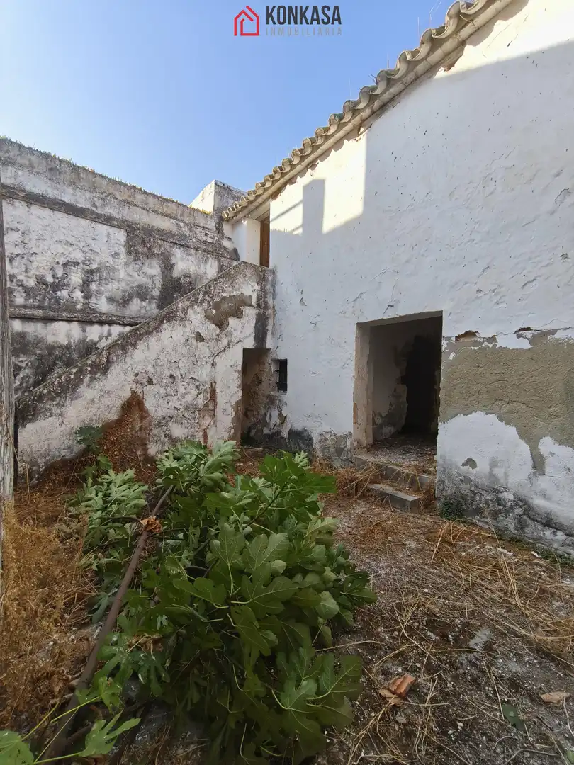 House for sale in Bornos, imagen 3