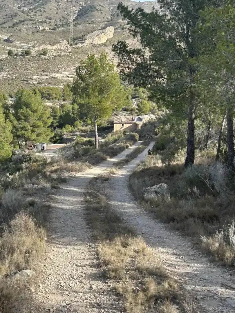 Vista exterior de Finca rústica en venda en Tibi