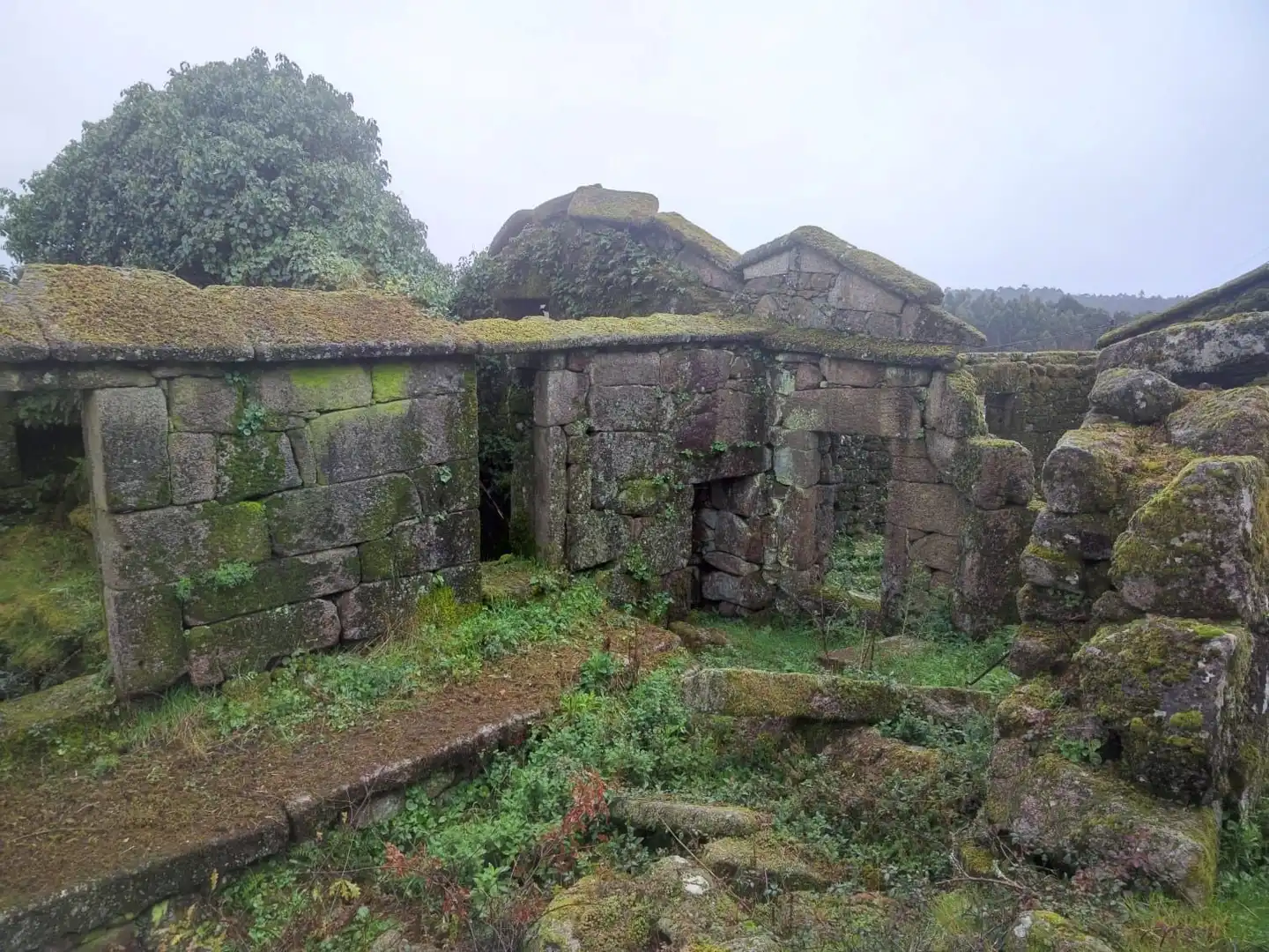 Terreno rustico in vendita a Ponte Caldelas, imagen 2