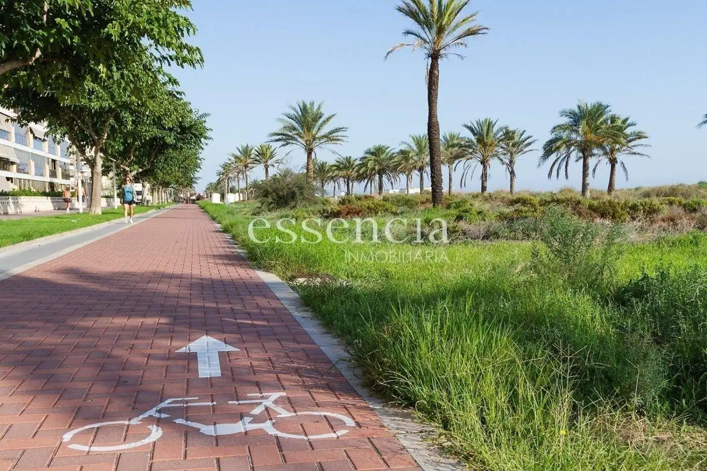 Vista exterior de Apartamento en venta en Gandia con Terraza y Balcón