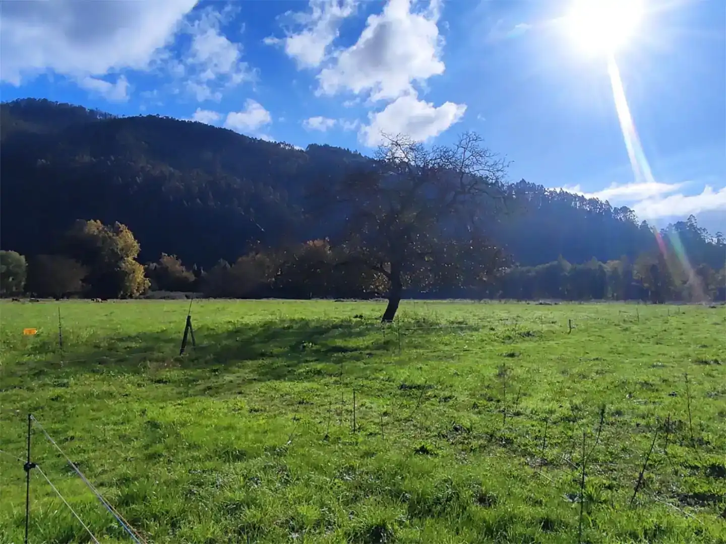 Terreno en venta en Pravia, Asturias
