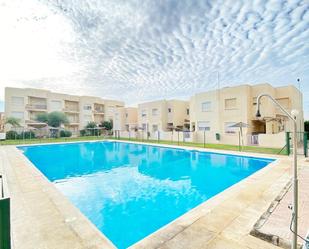 Swimming pool of Apartment to rent in  Almería Capital  with Private garden, Terrace and Balcony