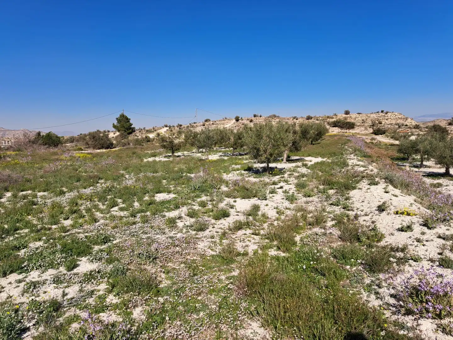 Terreno rustico in vendita a Plaça Industrial Garganta, imagen 3