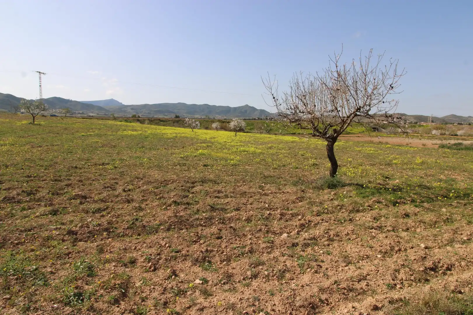 Grundstücke und Bauplätze zum Verkauf in Oria, imagen 5