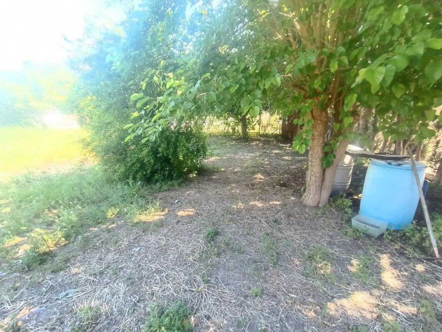 Terreny residencial en venda a Ctra Sanlúcar - Cuatro Pinos, imagen 6
