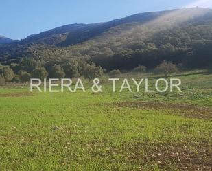 Land for sale in Alcúdia