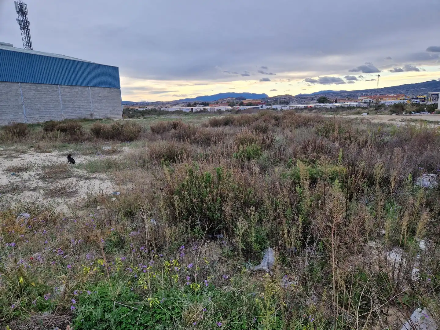 Terreny industrial en venda a Archena, imagen 5