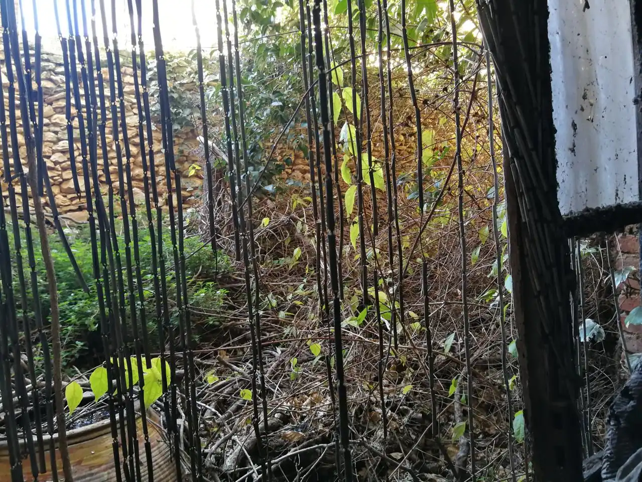 Casa con giardino in vendita a Carrer Rocafort, imagen 2