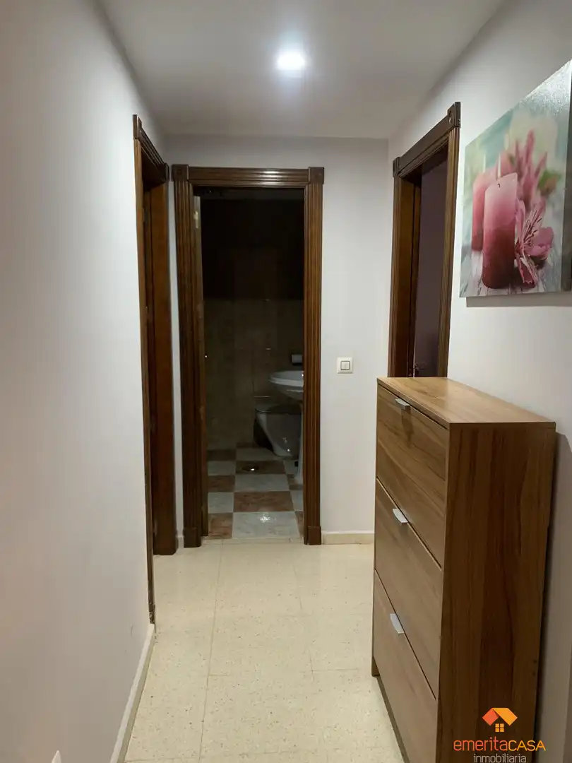 Bathroom of Duplexes for sale in Almendralejo