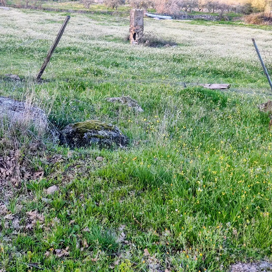 Terreni e lotti in vendita a Avenida de Doña Soledad Vega Ortiz, imagen 12